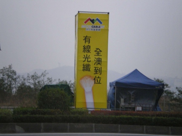 20085